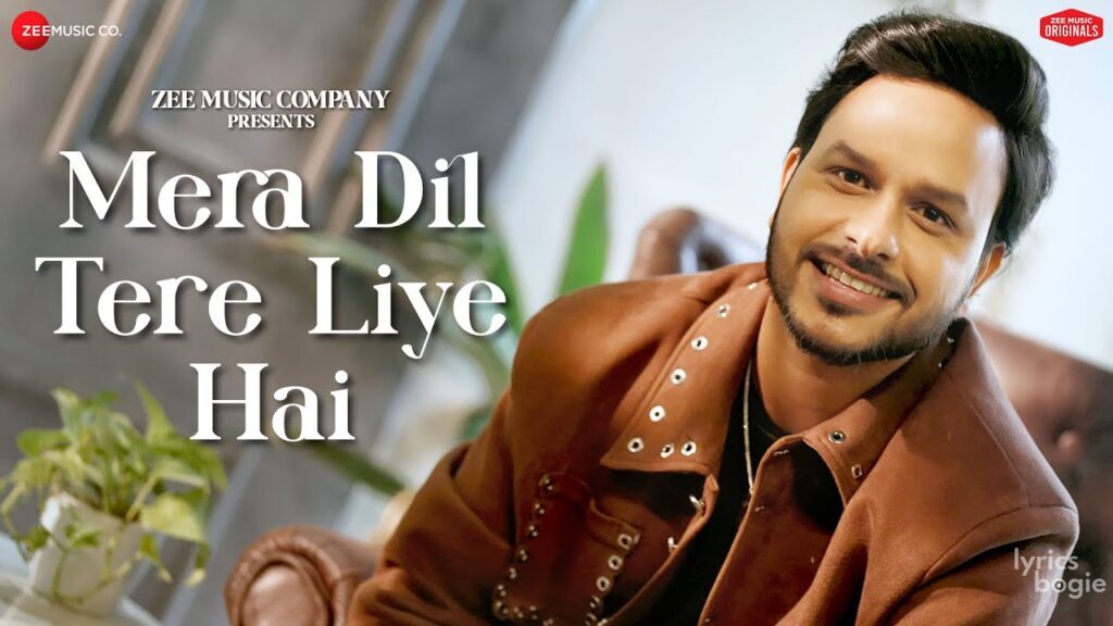 Mera Dil Tere Liye Hai - Song Cover Image