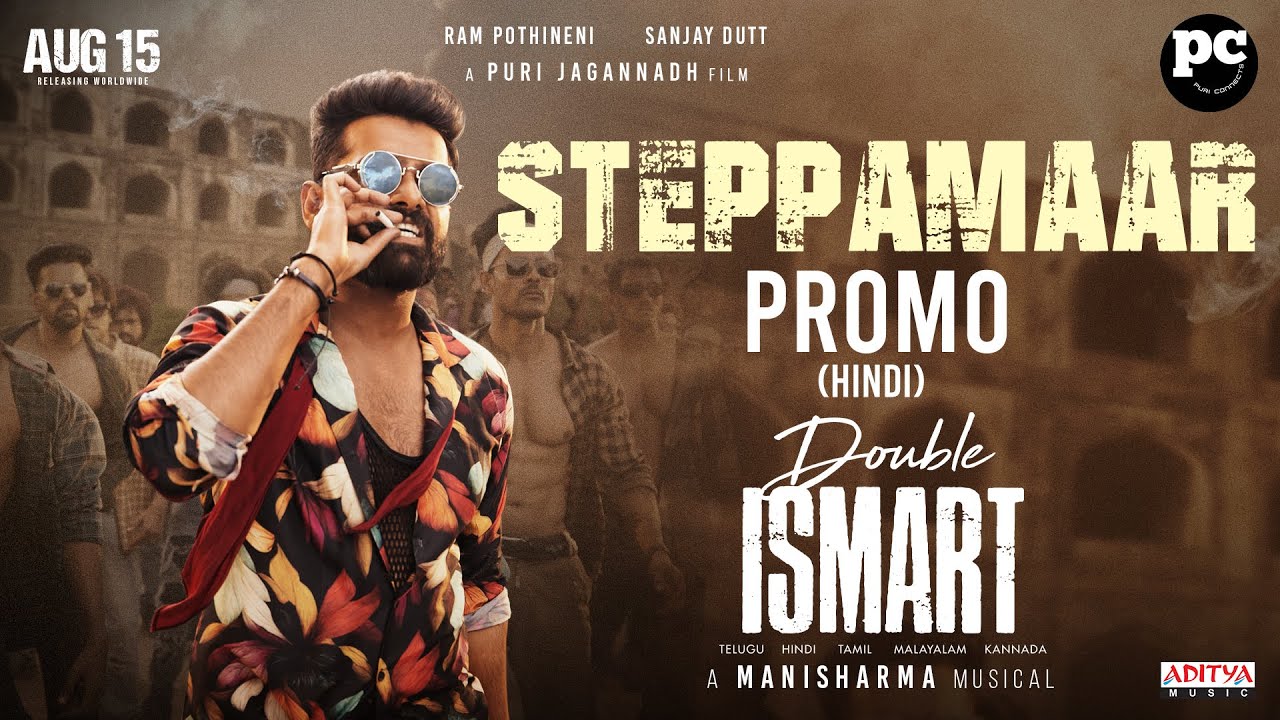 Steppamaar - Song Cover Image