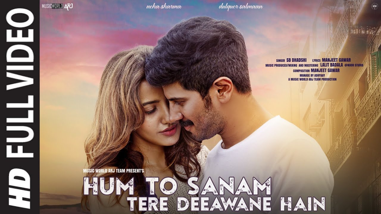 Hum To Sanam Tere Deewane Hain - Song Cover Image