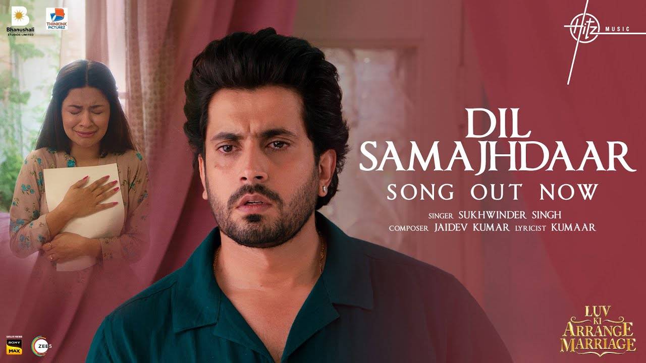 Dil Samajhdaar - Song Cover Image