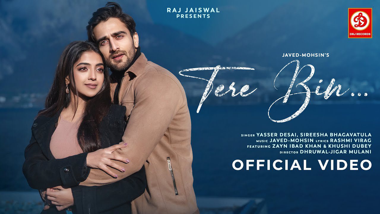Tere Bin - Song Cover Image