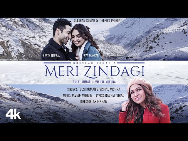 Meri Zindagi - Song Cover Image