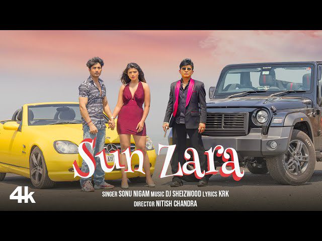 Sun Zara - Song Cover Image