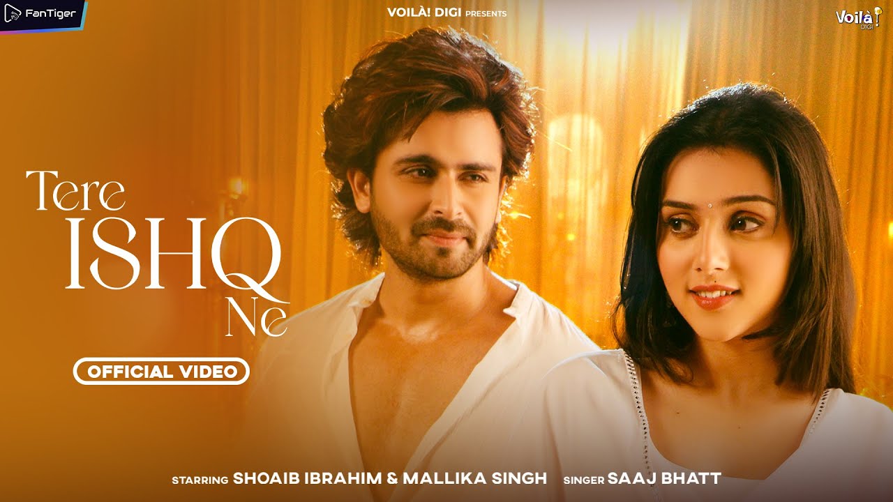 Tere Ishq Ne - Song Cover Image