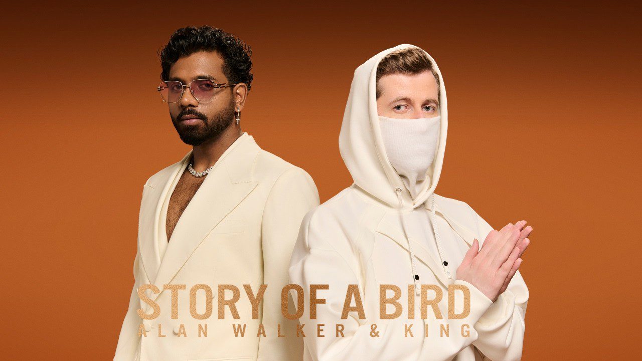 Story of a Bird - Song Cover Image