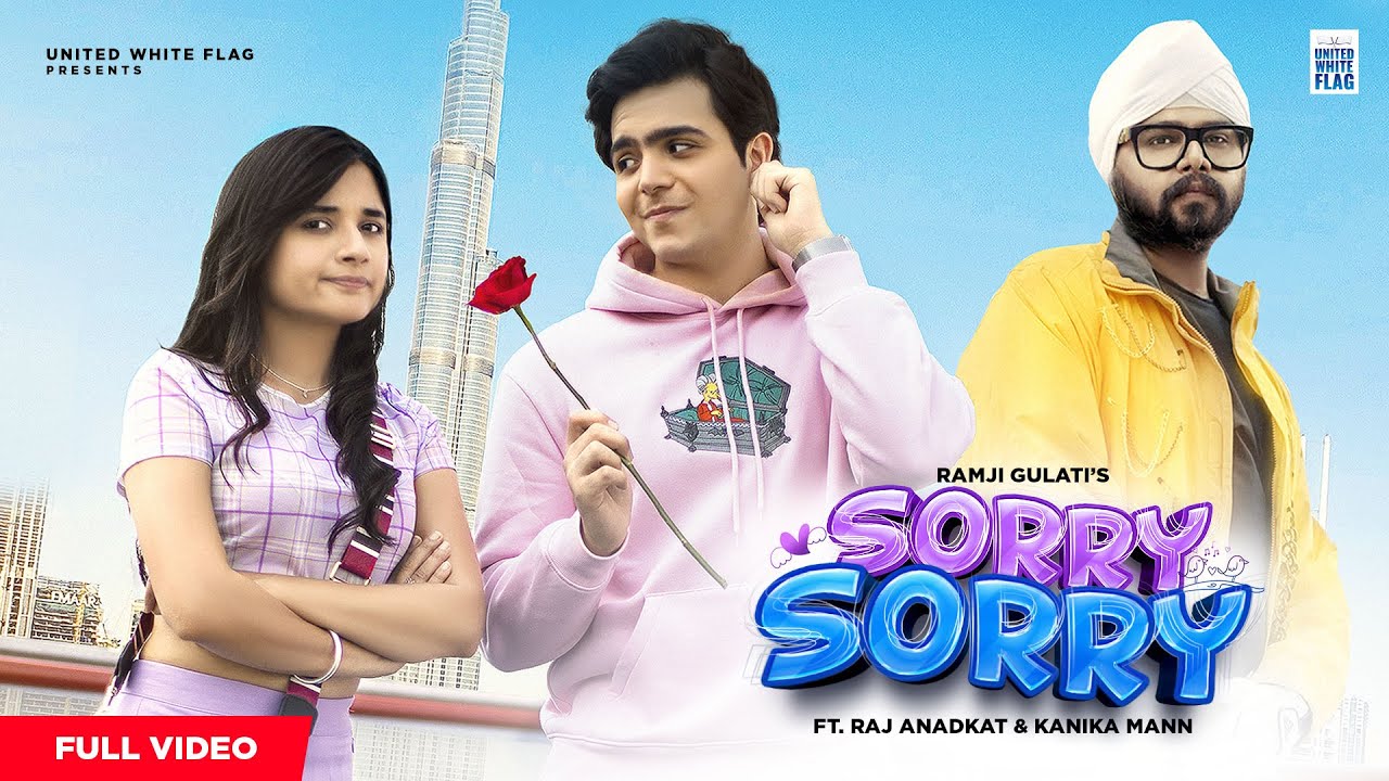 Sorry Sorry - Song Cover Image