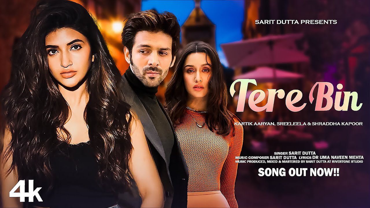 Tere Bin - Song Cover Image