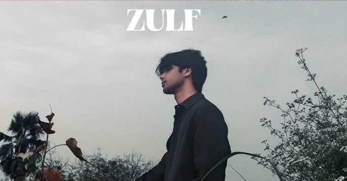 Zulf - Song Cover Image