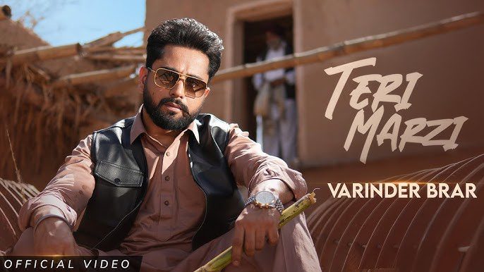 Teri Marzi - Song Cover Image