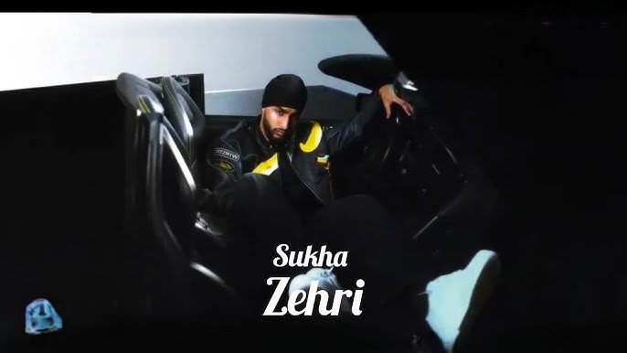 Zehri - Song Cover Image