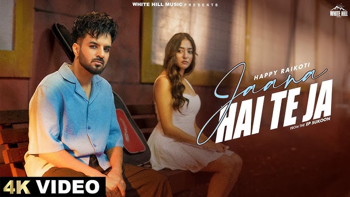 Jaana Hai Te Ja - Song Cover Image