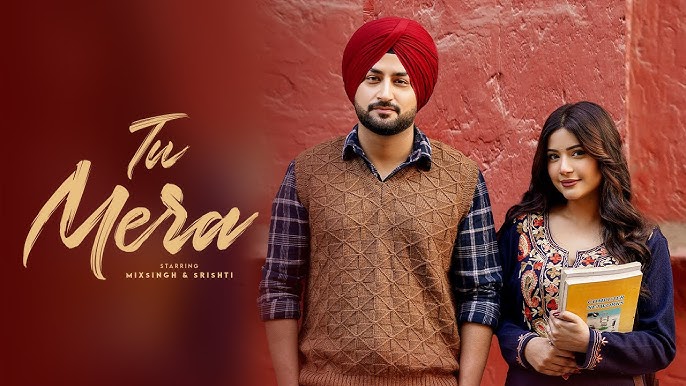 Tu Mera - Song Cover Image