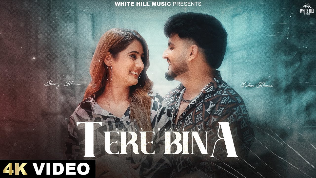 Tere Bina - Song Cover Image