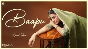 Baapu - Song Cover Image
