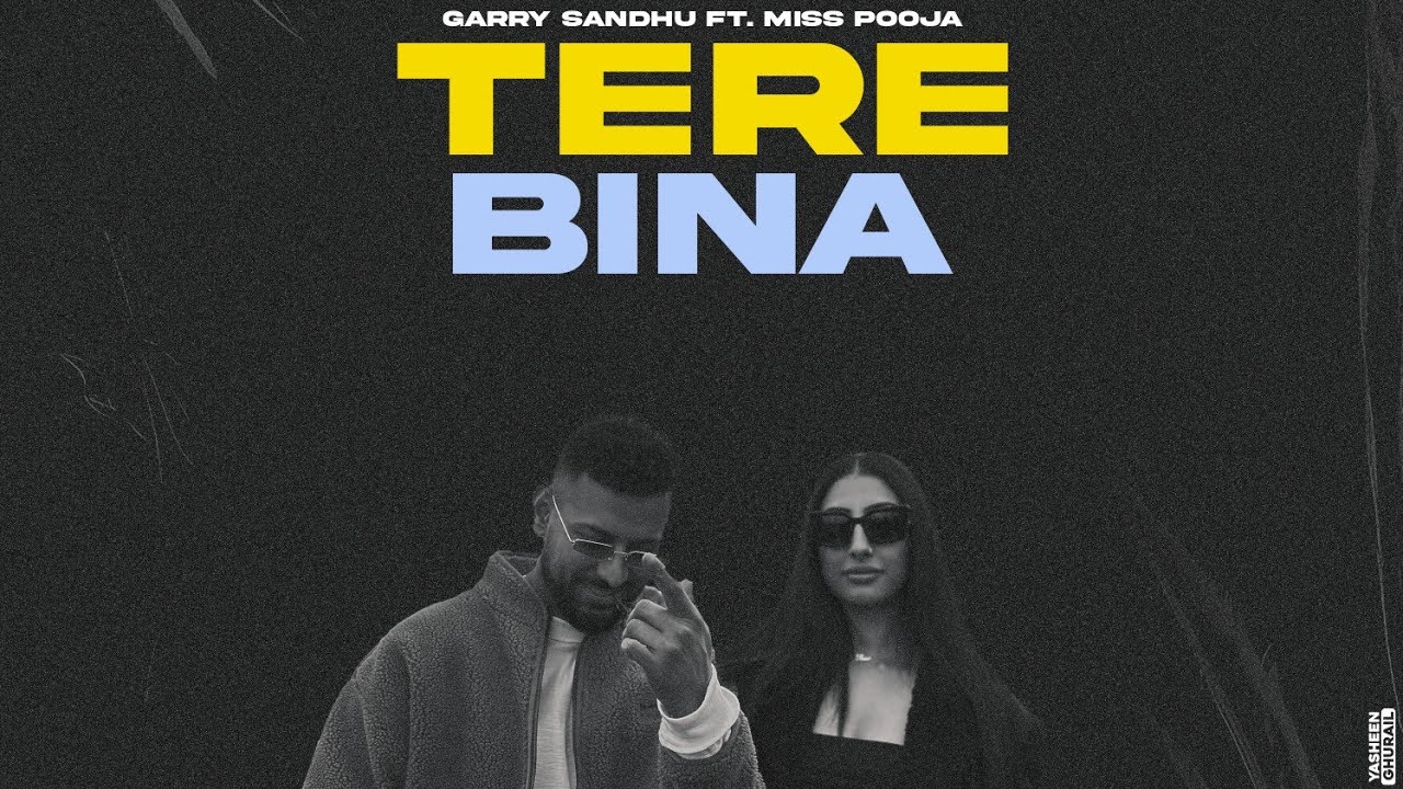 Tere Bina - Song Cover Image