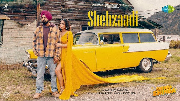 Shehzaadi - Song Cover Image