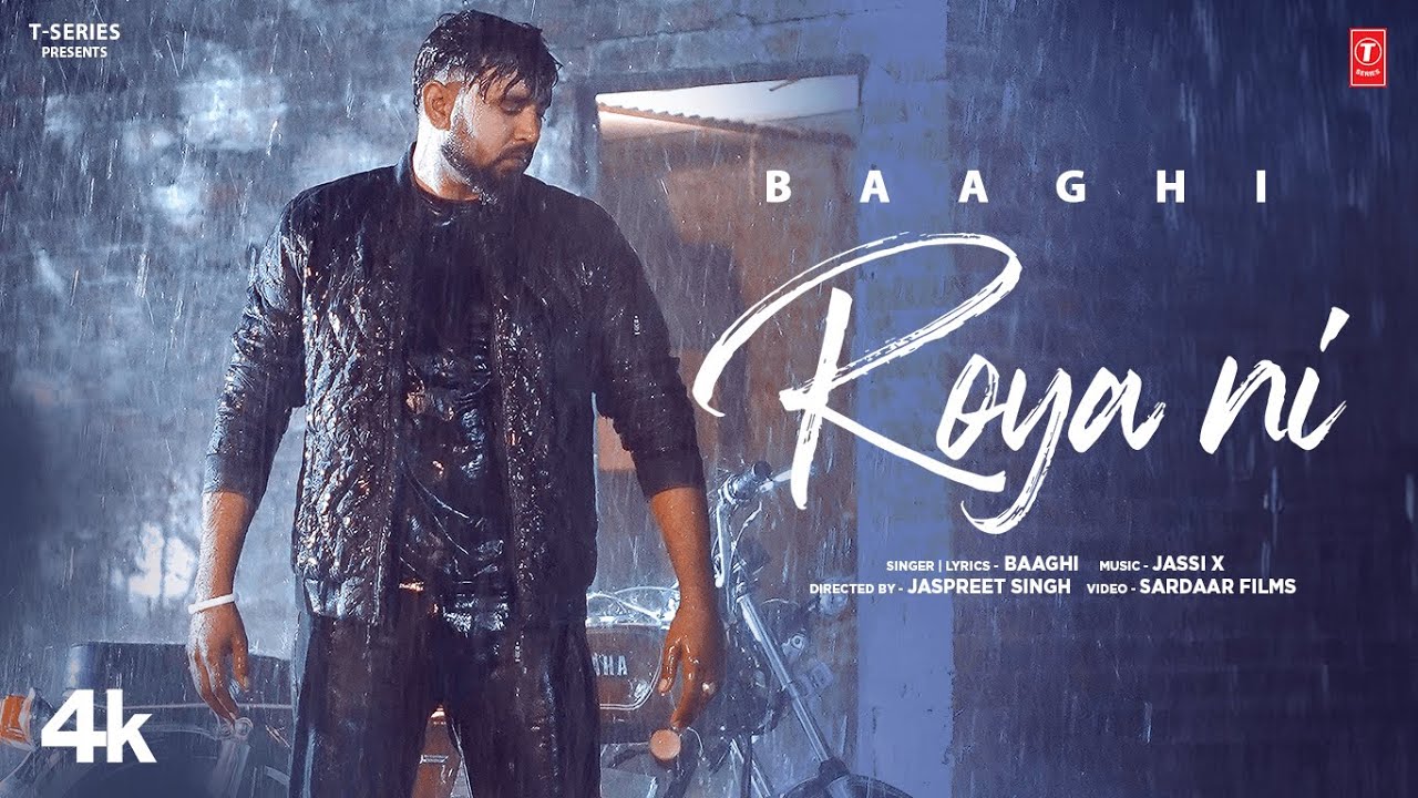 Roya Ni - Song Cover Image