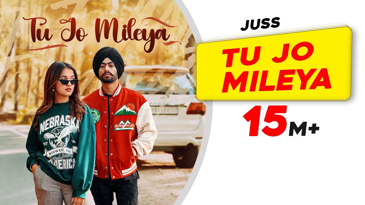 Tu Jo Mileya - Song Cover Image