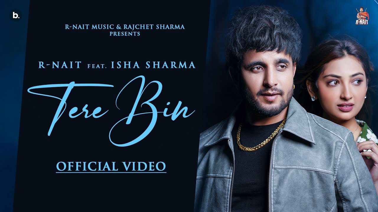 Tere Bin - Song Cover Image