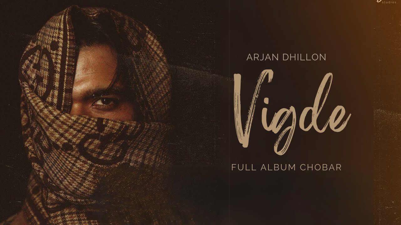 Vigde - Song Cover Image