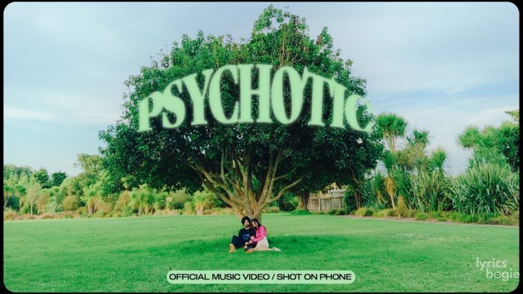 Psychotic - Song Cover Image