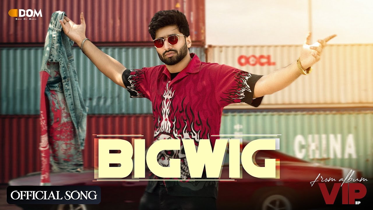 Bigwig - Song Cover Image