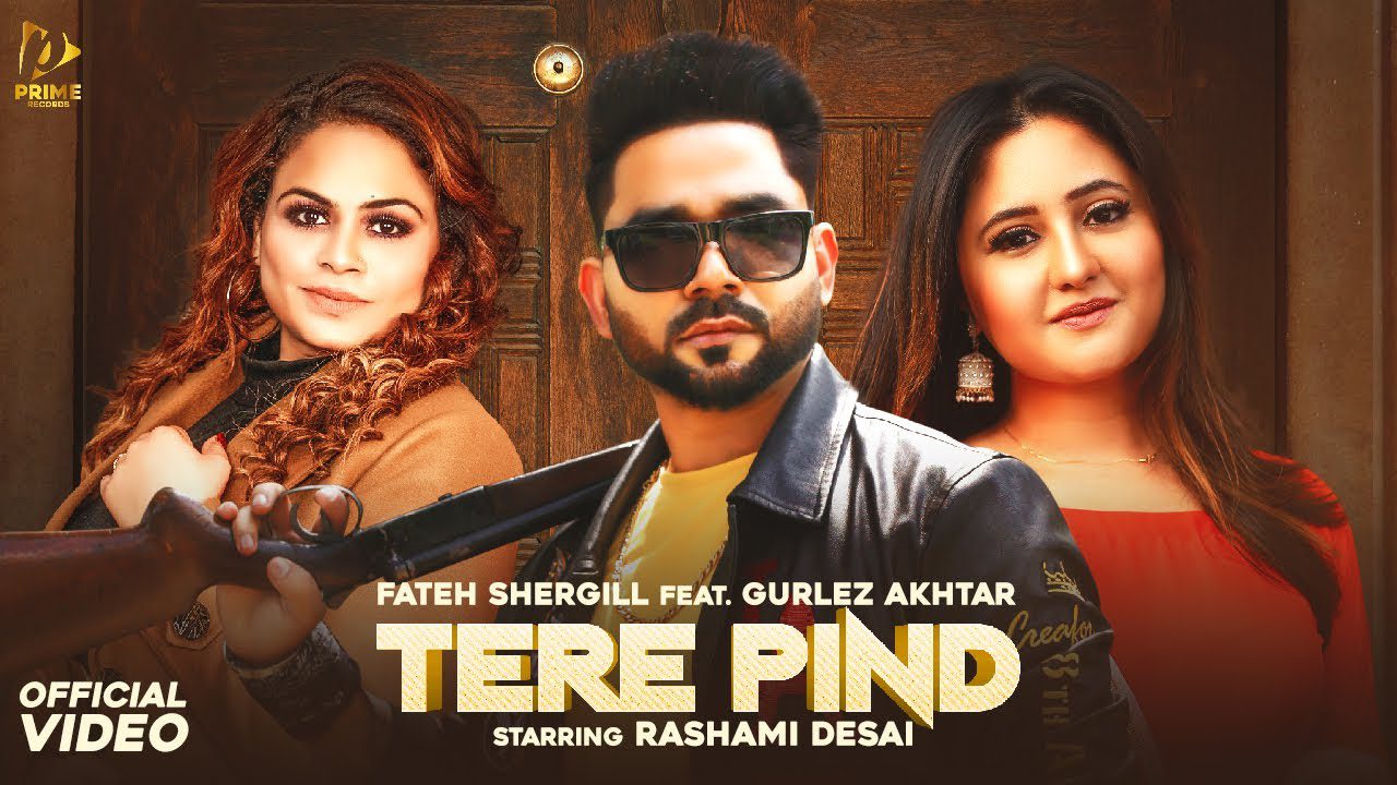 Tere Pind - Song Cover Image