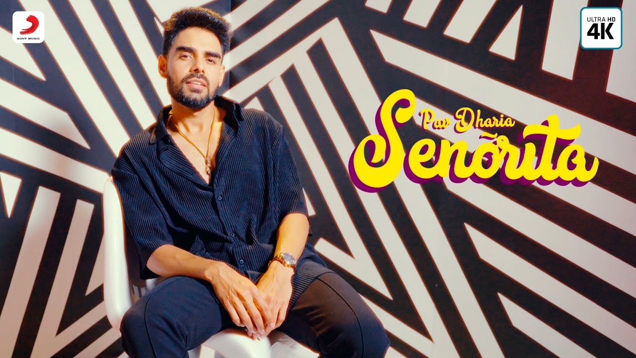 Senorita - Song Cover Image