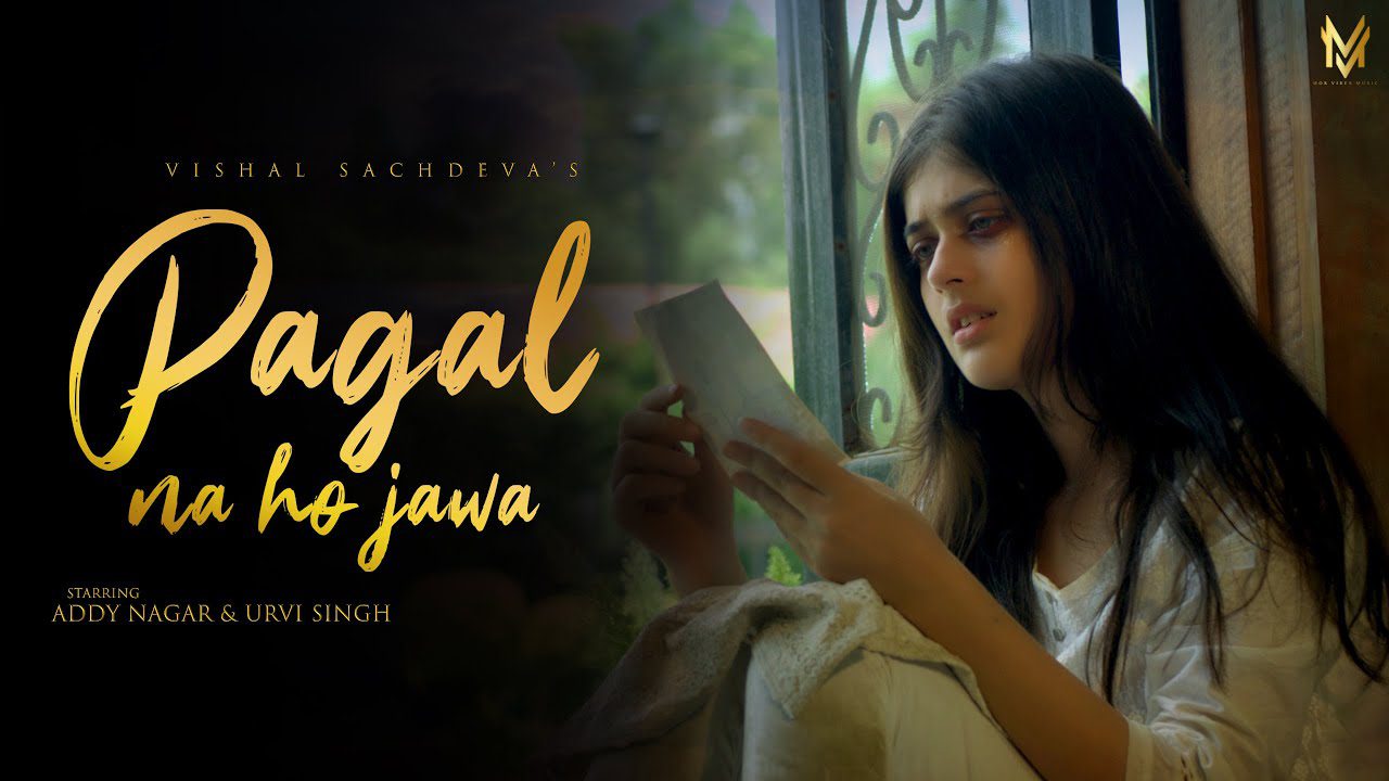 Pagal Na Ho Jawa - Song Cover Image