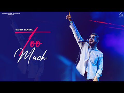 Too Much - Song Cover Image