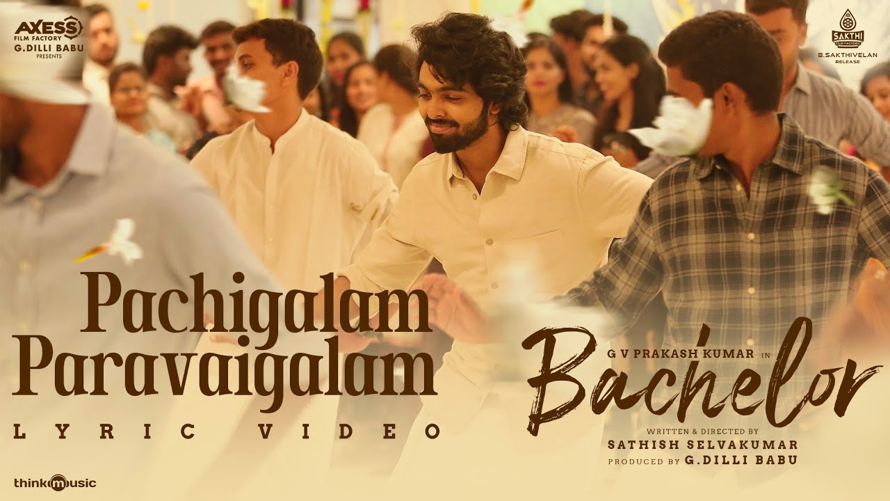 Pachigalam Paravaigalam - Song Cover Image