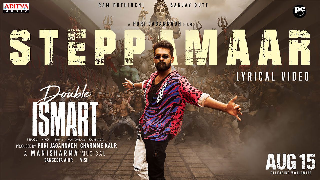 Steppamaar - Song Cover Image