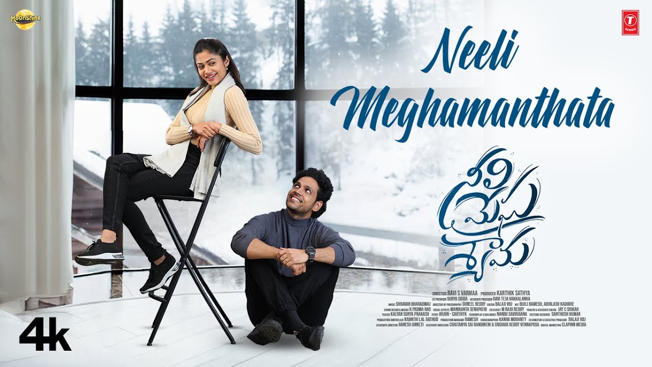 Neeli Meghamanthata - Song Cover Image
