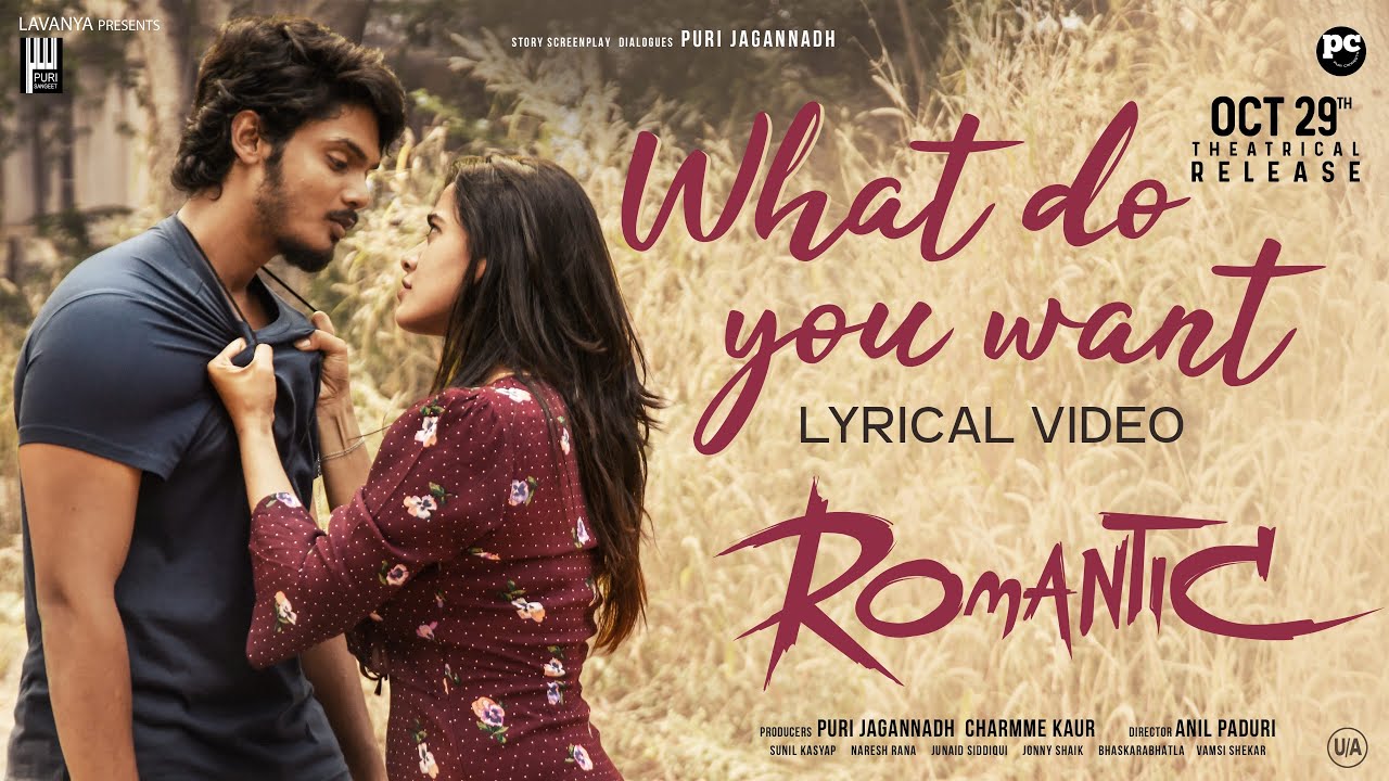 What Do You Want - Song Cover Image