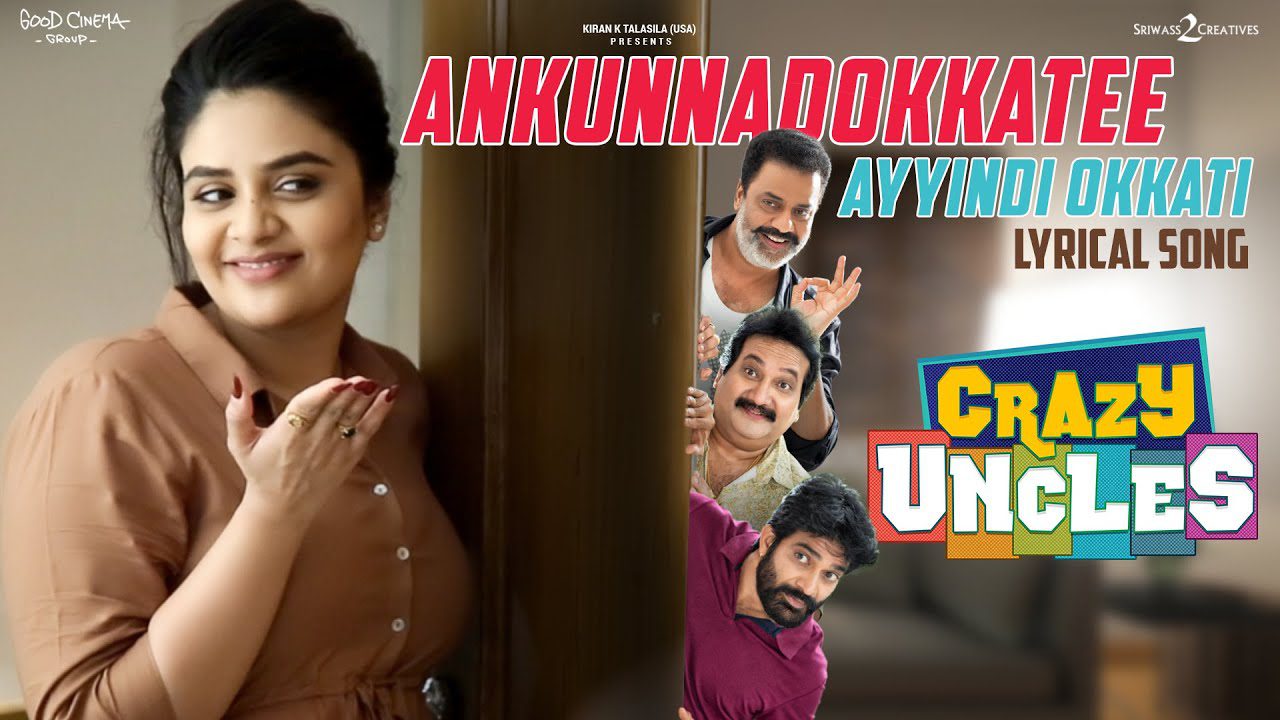 Ankunnadokkatee Ayyindi Okkati - Song Cover Image