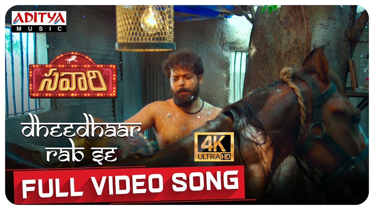 Dheedhaar Rab Se - Song Cover Image