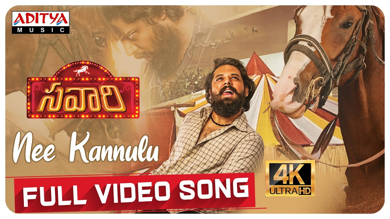 Nee Kannulu - Song Cover Image