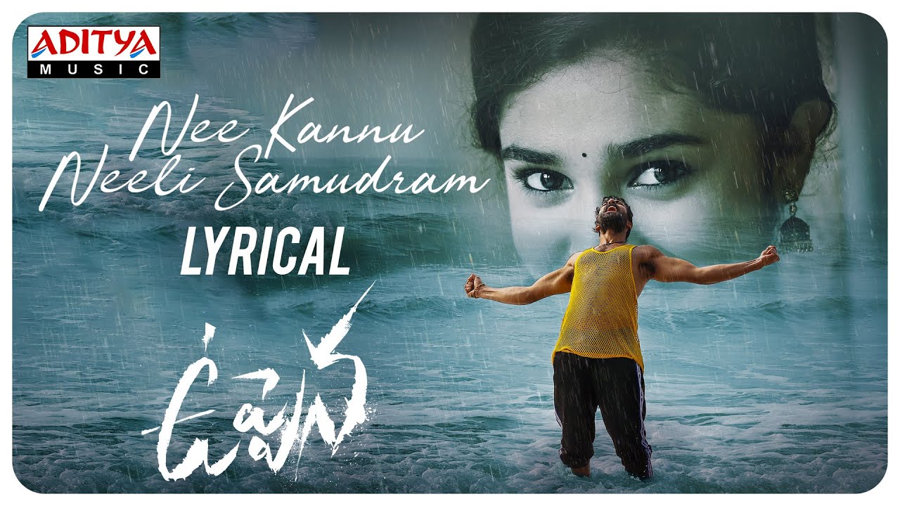Nee Kallu Neelisamudram - Song Cover Image