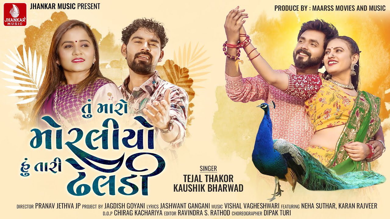 Tu Maro Moraliyo Hu Tari Dheladi - Song Cover Image