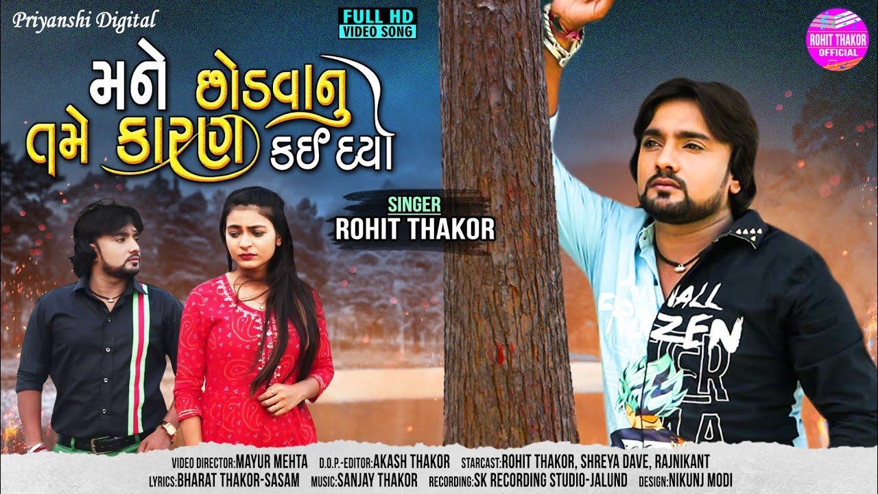 Mane Chhodvanu Tame Karan Kai Dyo - Song Cover Image