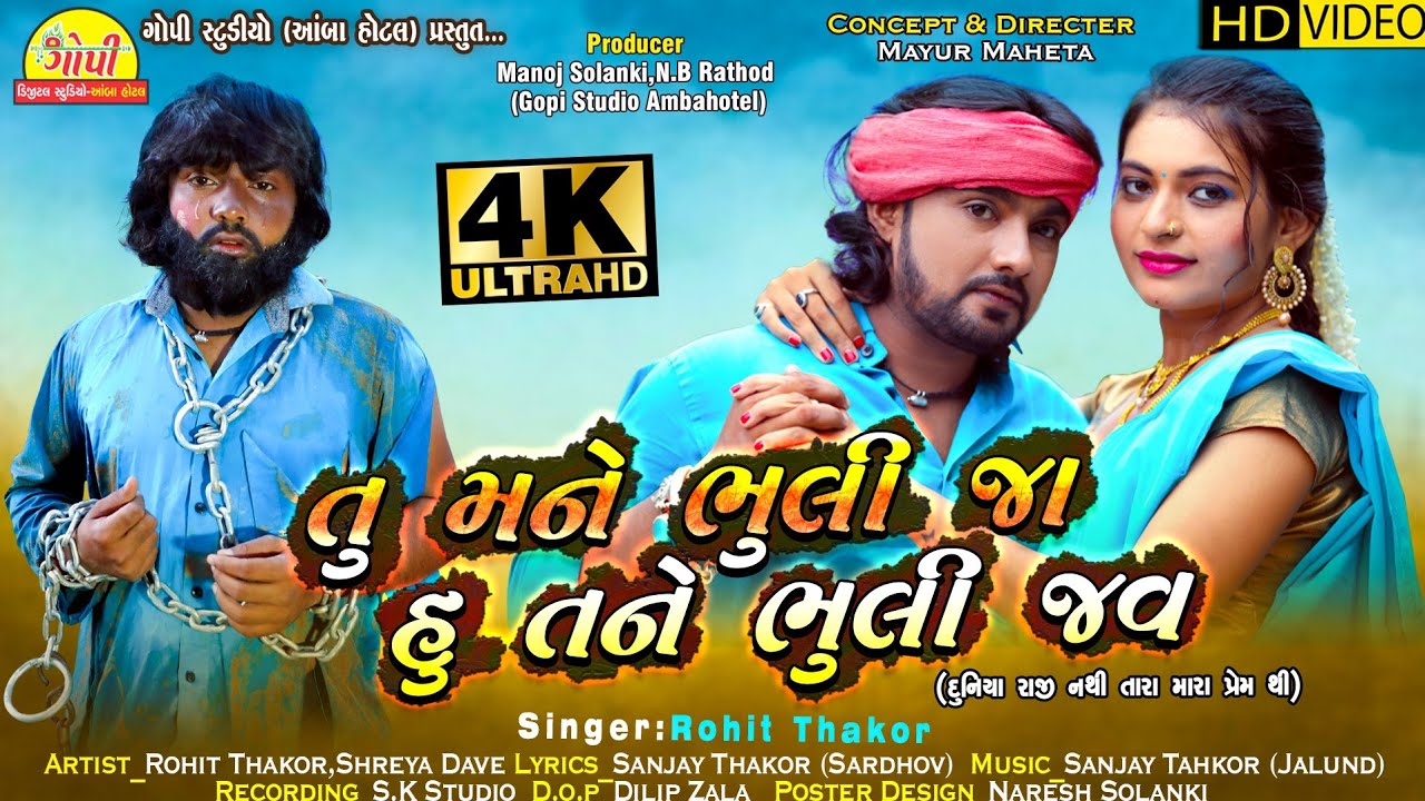 Tu Mane Bhuli Ja Hu Tane Bhuli Jav - Song Cover Image