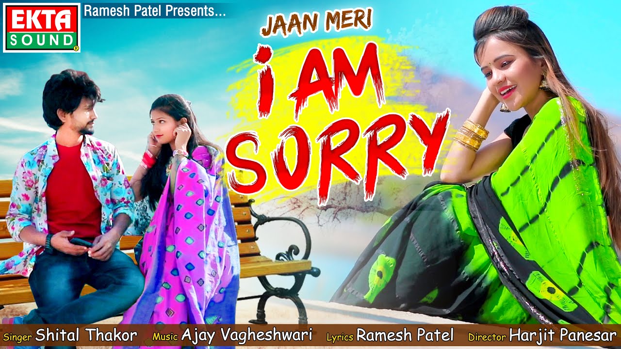 Jaan Meri I Am Sorry - Song Cover Image