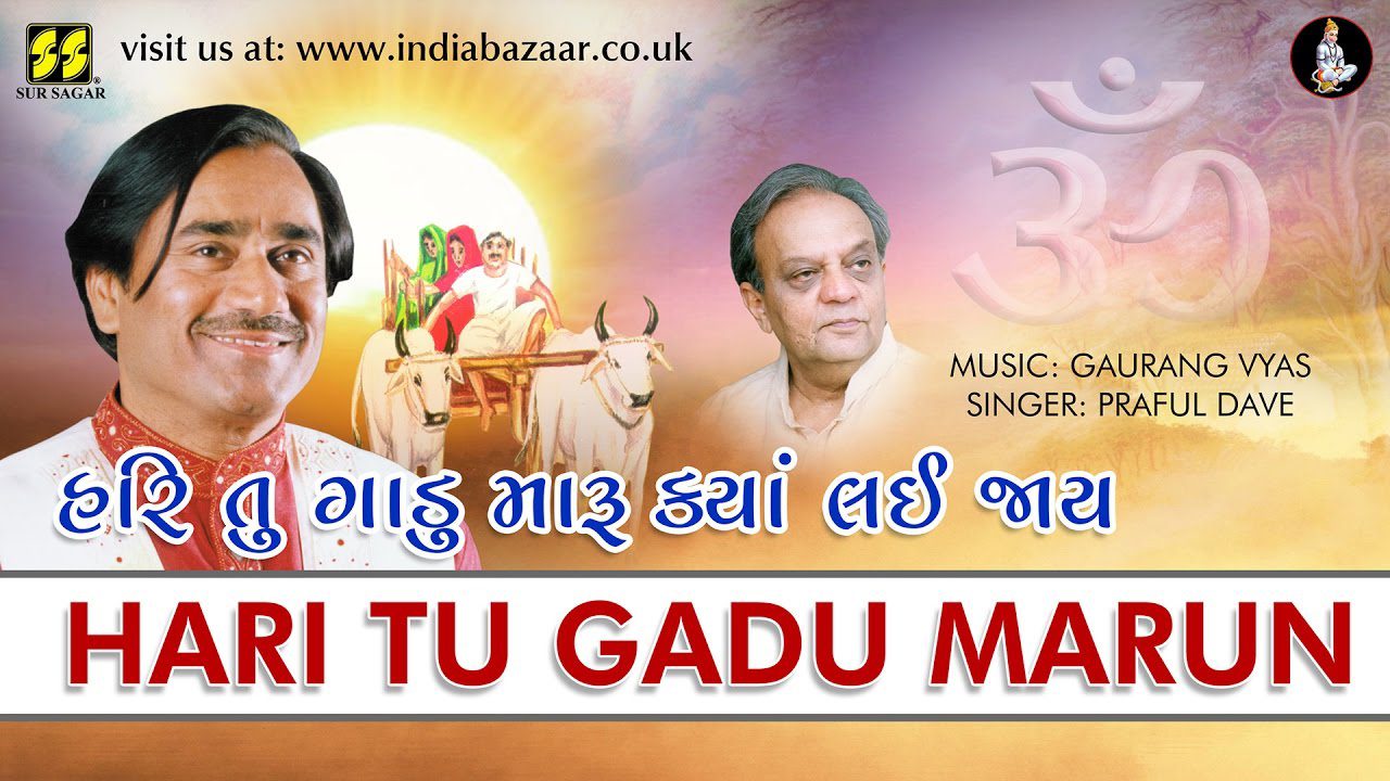Hari Tu Gadu Maru Kya Lai Jay - Song Cover Image