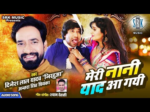 Meri Nani Yaad Aa Gai - Song Cover Image