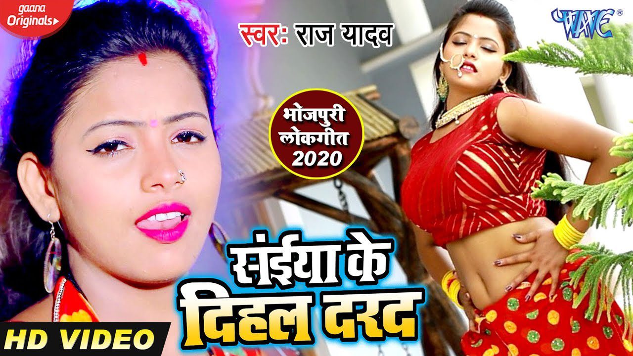 Saiya Ke Dihal Darad - Song Cover Image