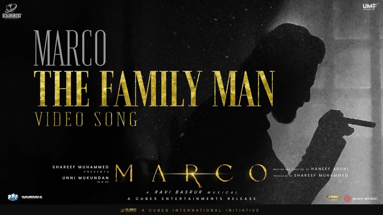 The Family Man - Song Cover Image