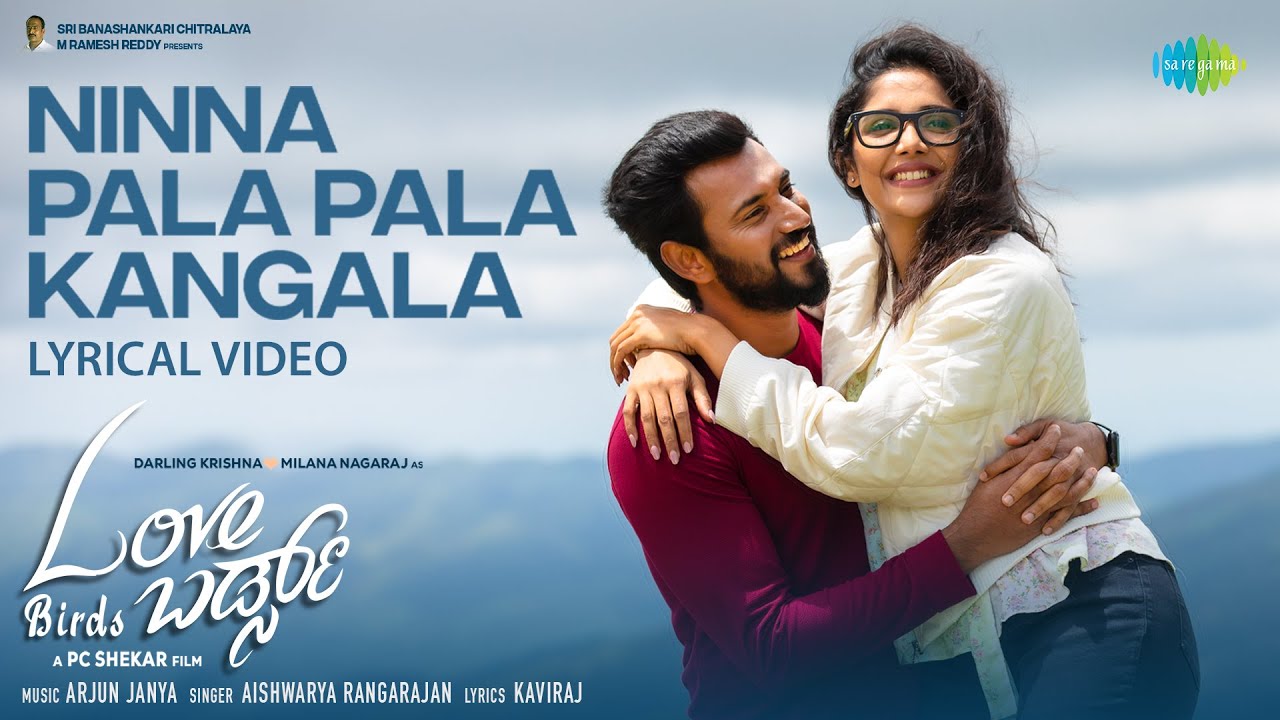 Ninna Pala Pala Kangala - Song Cover Image