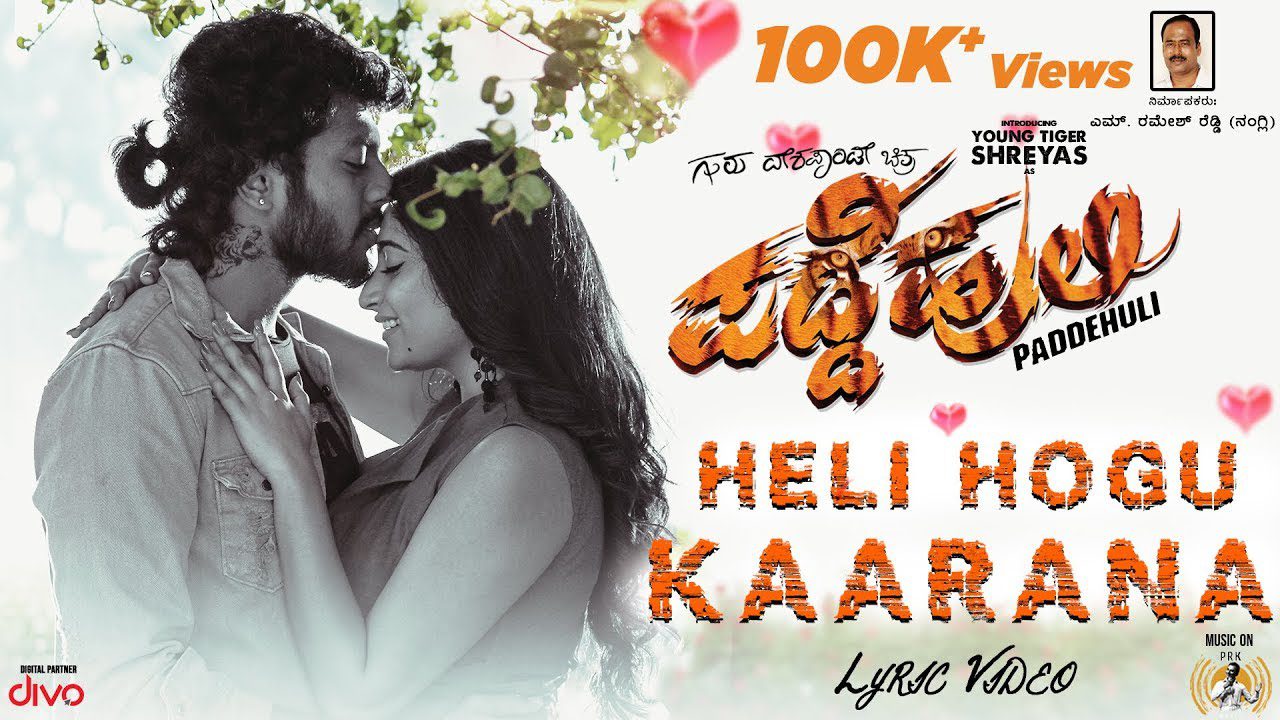 Heli Hogu Kaarana - Song Cover Image