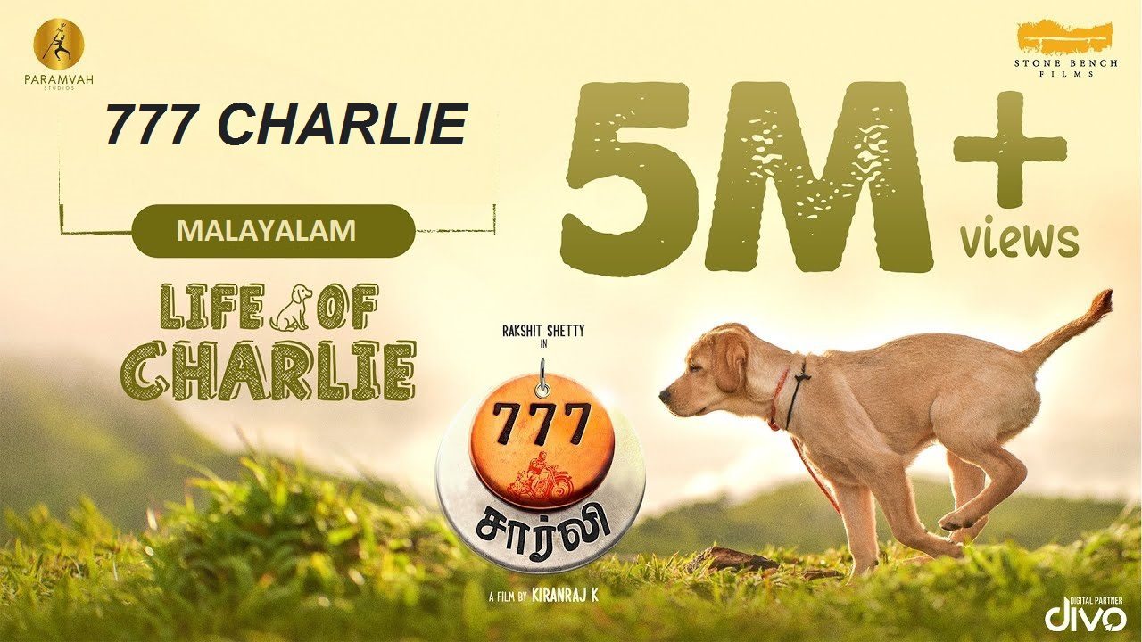 Life Of Charlie - Song Cover Image