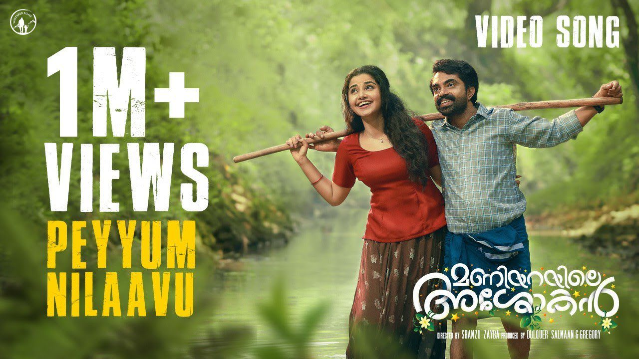 Peyyum Nilaavu - Song Cover Image